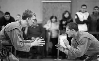 В Севастополе состоялся Всеукраинский чемпионат по спортивному и боевому самбо