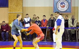 В Севастополе состоялся Всеукраинский чемпионат по спортивному и боевому самбо