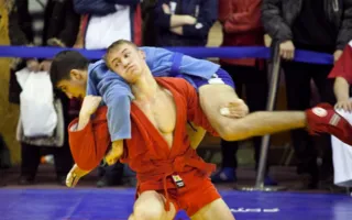 В Севастополе состоялся Всеукраинский чемпионат по спортивному и боевому самбо