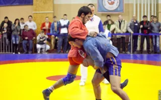 В Севастополе состоялся Всеукраинский чемпионат по спортивному и боевому самбо