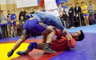 В Севастополе состоялся Всеукраинский чемпионат по спортивному и боевому самбо