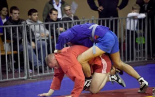 В Севастополе состоялся Всеукраинский чемпионат по спортивному и боевому самбо