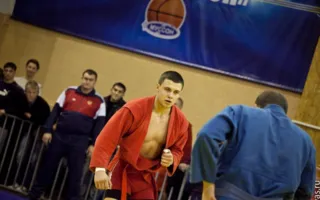 В Севастополе состоялся Всеукраинский чемпионат по спортивному и боевому самбо
