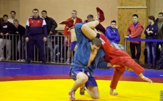 В Севастополе состоялся Всеукраинский чемпионат по спортивному и боевому самбо