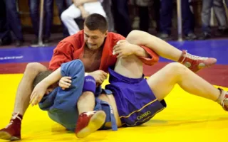 В Севастополе состоялся Всеукраинский чемпионат по спортивному и боевому самбо