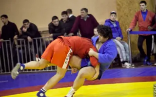 В Севастополе состоялся Всеукраинский чемпионат по спортивному и боевому самбо