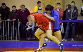 В Севастополе состоялся Всеукраинский чемпионат по спортивному и боевому самбо