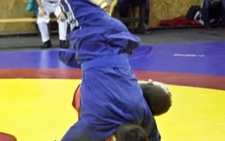 В Севастополе состоялся Всеукраинский чемпионат по спортивному и боевому самбо