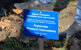 В сквере имени Ивана Голубца появилась своя Аллея Славы