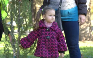 В сквере имени Ивана Голубца появилась своя Аллея Славы