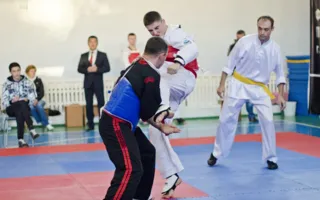 Второй чемпионат Украины по единоборству пенчак силат в Севастополе