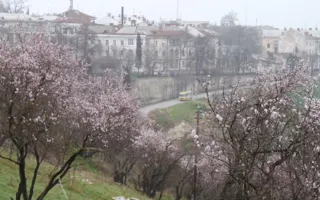 Фотографы творческого союза «Севастопольский фотосалон» подготовили выставку «Лютики-цветочки»