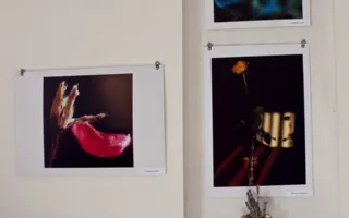 Фотографы творческого союза «Севастопольский фотосалон» подготовили выставку «Лютики-цветочки»