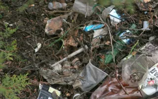 Уборкой на Братском кладбище севастопольцы почтили память погибших воинов