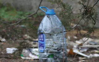 Уборкой на Братском кладбище севастопольцы почтили память погибших воинов