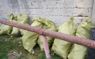 Уборкой на Братском кладбище севастопольцы почтили память погибших воинов