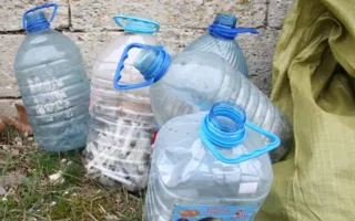 Уборкой на Братском кладбище севастопольцы почтили память погибших воинов