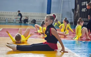 В Севастополе состоялся первый чемпионат города по эстетической гимнастике среди юных гимнасток