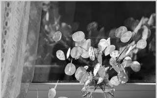 Размышления на свободную тему от фотохудожников «Севастопольского фотосалона»
