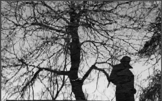 Размышления на свободную тему от фотохудожников «Севастопольского фотосалона»