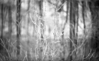 Размышления на свободную тему от фотохудожников «Севастопольского фотосалона»