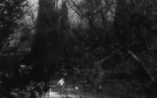 Размышления на свободную тему от фотохудожников «Севастопольского фотосалона»