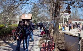 В Севастополе для фотографов любителей и профессионалов стартовал проект «Фотосушка»