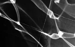 В Севастополе для фотографов любителей и профессионалов стартовал проект «Фотосушка»