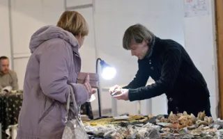 Удивительные сокровища недр земли на выставке «Крым самоцветный»