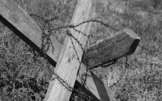 В рамках праздника «Знамена славы» состоялась реконструкция штурма Сапун-горы 7 мая 1944 года