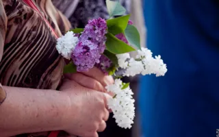 Завершился II городской фестиваль «Ради жизни на Земле»