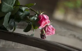 Современное искусство и вино на выставке по итогам симпозиума «Куда ведут лозы?» в Севастополе