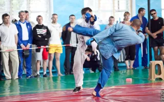 В Севастополе финал Чемпионата Украины по панкратиону физкультурно-спортивного общества «Динамо» определил лучших бойцов