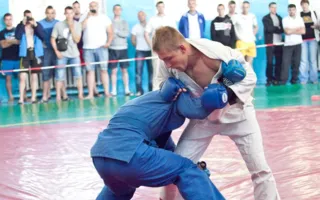 В Севастополе финал Чемпионата Украины по панкратиону физкультурно-спортивного общества «Динамо» определил лучших бойцов