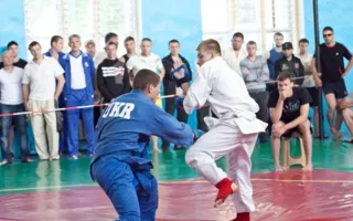 В Севастополе финал Чемпионата Украины по панкратиону физкультурно-спортивного общества «Динамо» определил лучших бойцов