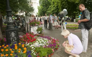Выставки цветов и прикладного творчества учащихся на Приморском бульваре ко Дню города
