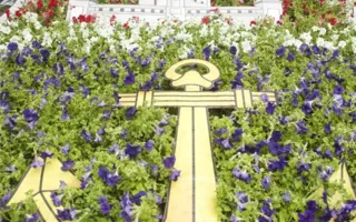 Выставки цветов и прикладного творчества учащихся на Приморском бульваре ко Дню города