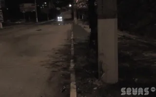 Иномарка врезалась в дерево в районе остановки «Дмитрия Ульянова». Видео последствий ДТП