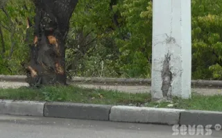 Иномарка врезалась в дерево в районе остановки «Дмитрия Ульянова». Видео последствий ДТП