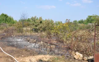 В Севастополе рядом с телевышкой пять часов горела трава на площади в четыре гектара