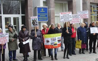 Средства на стерилизацию бездомных животных «освиваются», а животных убивают, считают защитники животных