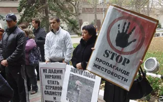 Средства на стерилизацию бездомных животных «освиваются», а животных убивают, считают защитники животных