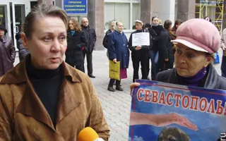 Средства на стерилизацию бездомных животных «освиваются», а животных убивают, считают защитники животных