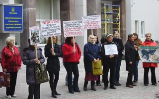 Средства на стерилизацию бездомных животных «освиваются», а животных убивают, считают защитники животных