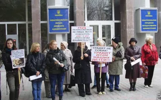 Средства на стерилизацию бездомных животных «освиваются», а животных убивают, считают защитники животных
