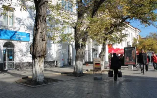 Азаров устроил выходной городскому активу Севастополя