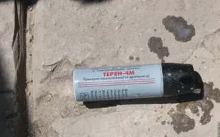 Пока директор Севастопольского дельфинария отказывался заключать договор, его рейдерски захватили одесские коммунисты