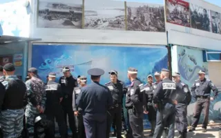 Пока директор Севастопольского дельфинария отказывался заключать договор, его рейдерски захватили одесские коммунисты
