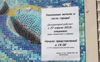 Пока директор Севастопольского дельфинария отказывался заключать договор, его рейдерски захватили одесские коммунисты
