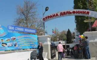 Одесские захватчики севастопольского дельфинария эвакуировались морем, опасаясь мести тех, кого они травили газом и заливали водой 